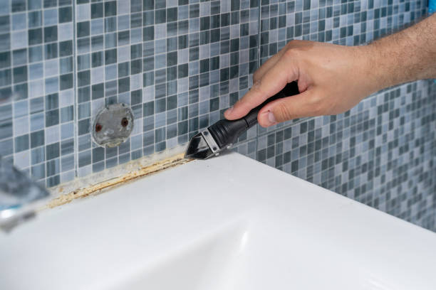 Home Mold Removal in Findlay, OH